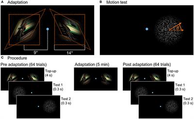 Parallel Adaptation to Spatially Distinct Distortions